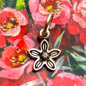 5/$10❤️❤️❤️NEw Tibetan Silver Flower Charm